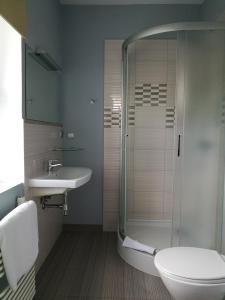 La salle de bains est pourvue d'une douche, de toilettes et d'un lavabo. dans l'établissement Hotelik u Sąsiada, à Olsztyn