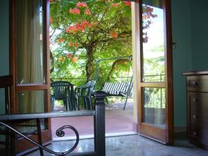 an open door to a patio with a tree at Residence Casa Berti in Spello