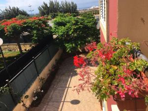 Zahrada ubytování Vivienda Las Velas