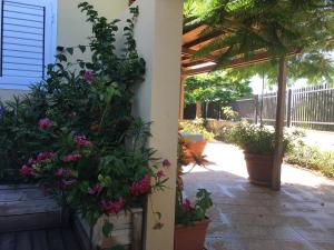 Zahrada ubytování Vivienda Las Velas