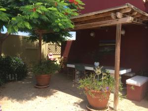 Zahrada ubytování Vivienda Las Velas