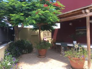 Zahrada ubytování Vivienda Las Velas