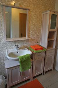 a bathroom with a sink and a mirror at Ribarica GO green 2 in Ribarica