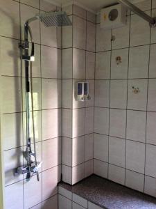 a shower with a glass door in a bathroom at 衿日林民宿丨童玩節對面丨可12-30人包棟烤肉戲水池 in Dongshan +54 photos