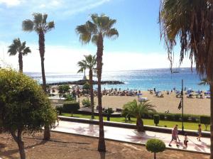 una vista di una spiaggia con palme e l'oceano di Chitamar ad Arona