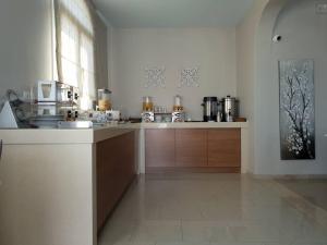 Kuchyň nebo kuchyňský kout v ubytování Alkyon Hotel