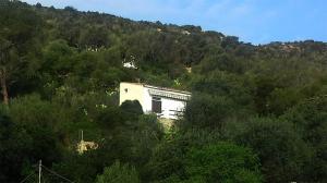 een gebouw midden in een bos van bomen bij Cá da Marta Q4526 in Carloforte