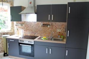 a kitchen with blue cabinets and a sink at Ferienwohnung " Gecko 2 " in Andernach