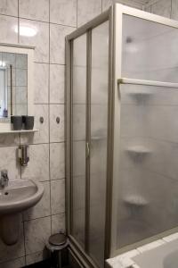 uma casa de banho com um chuveiro e um lavatório. em Ferienwohnung " Gecko 2 " em Andernach