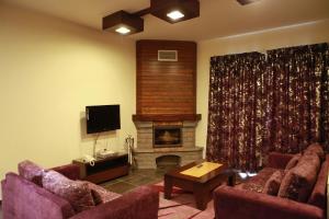 a living room with two couches and a fireplace at Cedars Palace in Al Arz