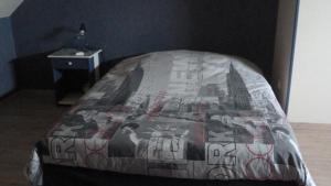 un letto con piumone in una camera da letto di "Chambre d'Hotes proximité Circuit Prenois a Prenois