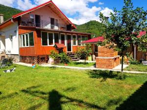 ein Haus mit einem Rasenplatz davor in der Unterkunft Vila di Pau in Băile Herculane