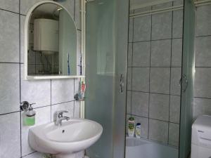 un bagno con lavandino e doccia di Guesthouse Durmitor Magic a Žabljak