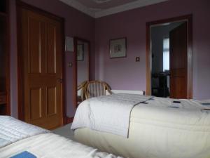 two beds in a bedroom with purple walls at Shelmalier House in Athlone