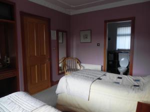 a bedroom with two beds and a door at Shelmalier House in Athlone