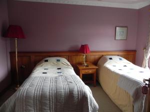 two beds sitting next to each other in a bedroom at Shelmalier House in Athlone