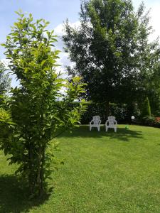 Zahrada ubytování B&B Terra del Sole