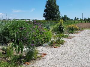 Ogród w obiekcie Agriturismo Frascje Dai Spadons