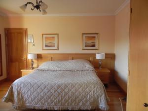 a bedroom with a bed and two night stands with lamps at Shelmalier House in Athlone