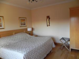 a bedroom with a bed with a white bedspread at Shelmalier House in Athlone