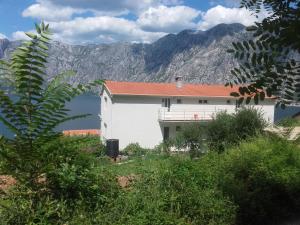 a white building with a mountain in the background at Apartment Marija in Kotor