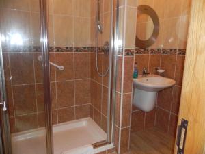 a bathroom with a shower and a sink at Shelmalier House in Athlone