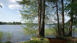 Fotografia z galérie ubytovania Domek nad jeziorem v destinácii Majdy