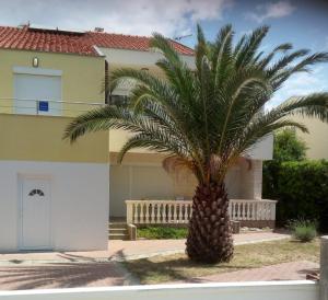 a palm tree in front of a house at Apartment-Villa Vesna in Privlaka