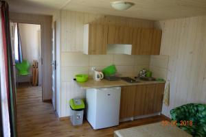 ブワディスワボボにあるDomki-Apartamenty HALSの小さなキッチン(シンク、冷蔵庫付)