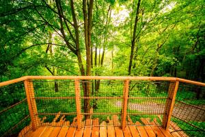 Сад в Treehouse pod Jestedem