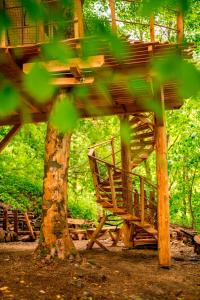 Treehouse pod Jestedem في Světlá pod Ještědem: منزل شجرة خشبي في وسط غابة