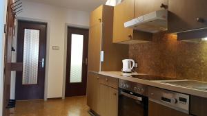Η κουζίνα ή μικρή κουζίνα στο Appartement Weissbacher +48 φωτογραφίες
