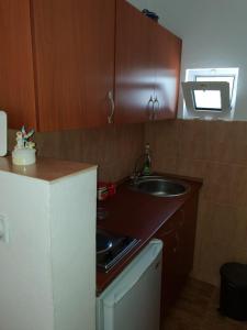 Kuchyň nebo kuchyňský kout v ubytování Apartments TODOR