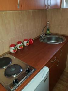 Kuchyň nebo kuchyňský kout v ubytování Apartments TODOR