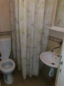 Koupelna v ubytování Apartments TODOR