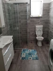 a bathroom with a shower and a toilet and a sink at Apartments Igor in Bibinje +21 photos