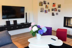TV a/nebo společenská místnost v ubytování Haus Sathurn
