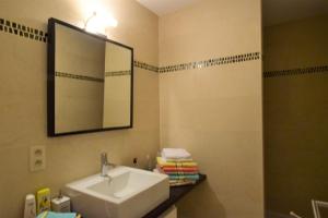 a bathroom with a sink and a mirror and a shower at ABC Apartment Langestraat in Blankenberge