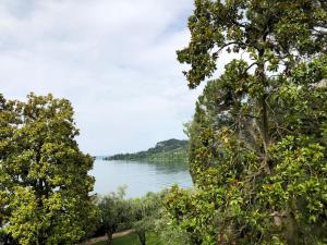 a view of a lake from between two trees at Appartamenti Villa Andrea in Garda