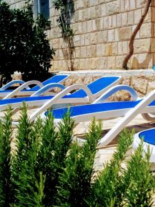 a row of blue and white beds with plants at Apartments Anamaria in Dubrovnik +57 photos