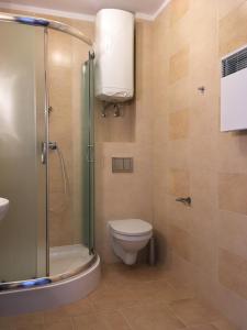 W łazience znajduje się toaleta i przeszklony prysznic. w obiekcie Apartamenty Zielona Wydma w Łebie
