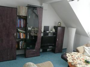 een woonkamer met een boekenplank met een spiegel bij Ferienwohnung Schweizer in Coswig