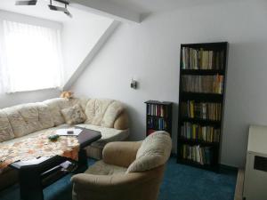 a living room with a couch and a book shelf at Ferienwohnung Schweizer in Coswig