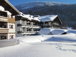 Obiekt All Inclusive - Marco Polo Alpina Familien- & Sporthotel zimą