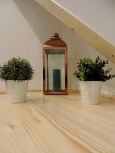 two potted plants on a floor with a mirror at Na Świerkowym Strychu in Szczawnica +53 photos