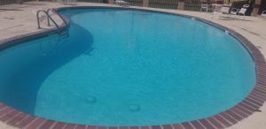 a large swimming pool with blue water at Econo Inn Lackland AFB-Seaworld San Antonio in San Antonio