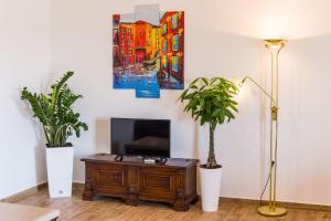 TV a/nebo společenská místnost v ubytování Apartment Alex