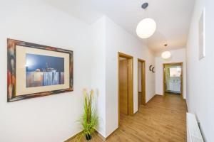 Fotografie z fotogalerie ubytování Apartment Alex v destinaci Zadar