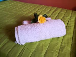 een roze deken op een bed met een bloem erin bij Yiannis Apartments in Mastichari