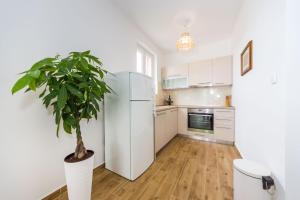Kuchyň nebo kuchyňský kout v ubytování Apartment Alex